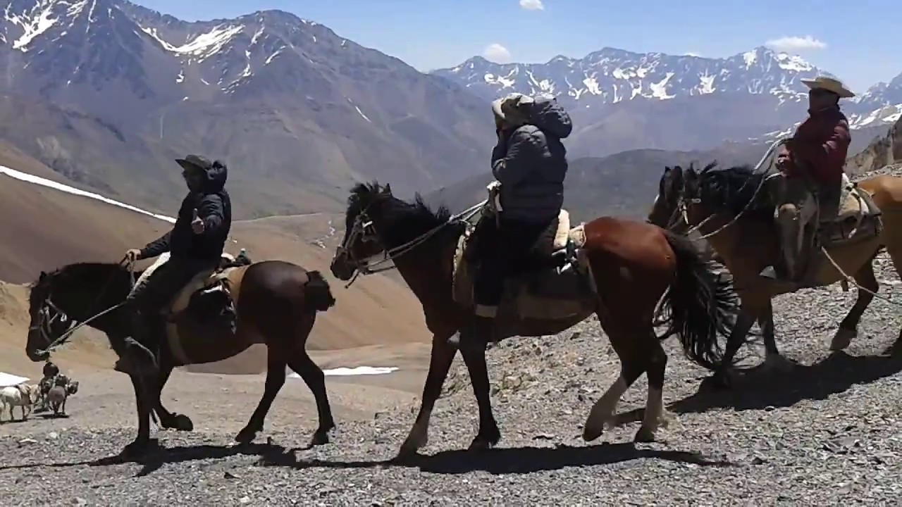 Cruce de Los Andes -  Paso Piuquenes