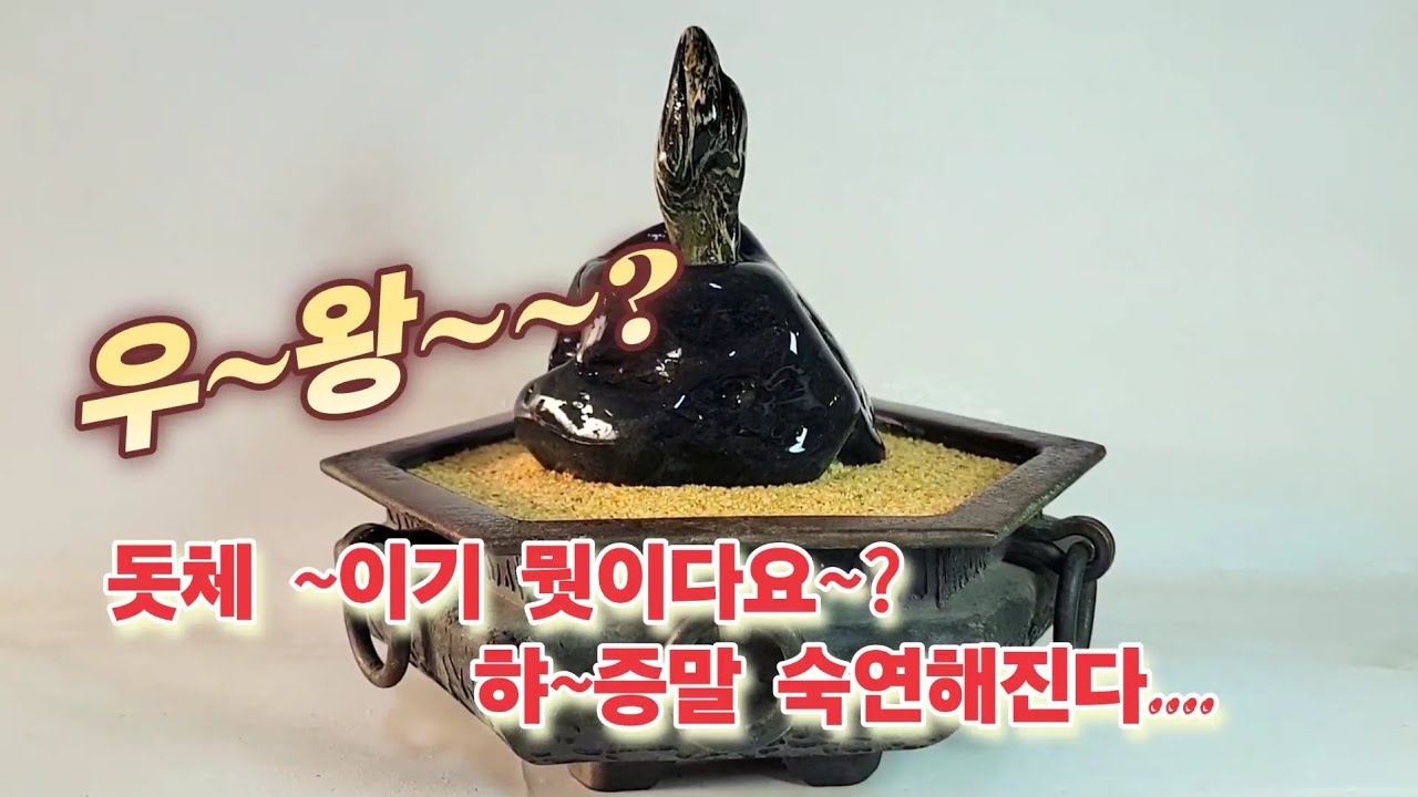 띠스한것 보니 봄이 오는가 봅니다 ㅎ^^~