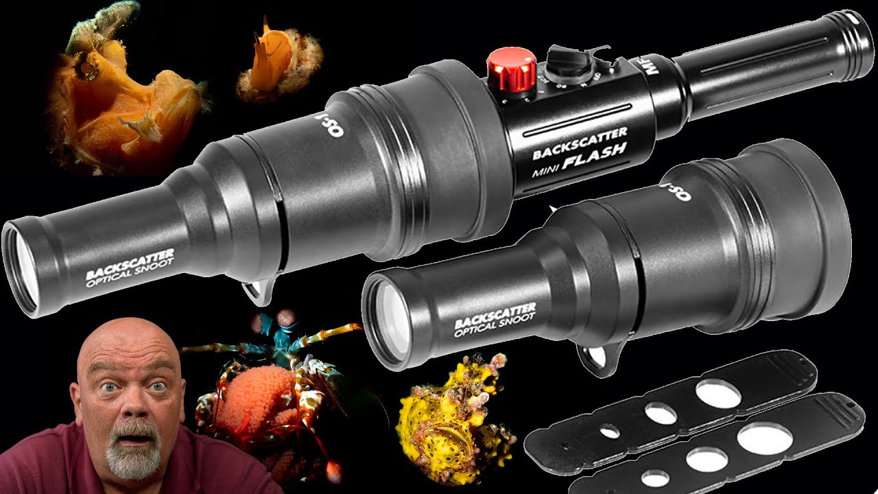 Backscatter mini flash 2 et snoot en revue et démonstration en plongée