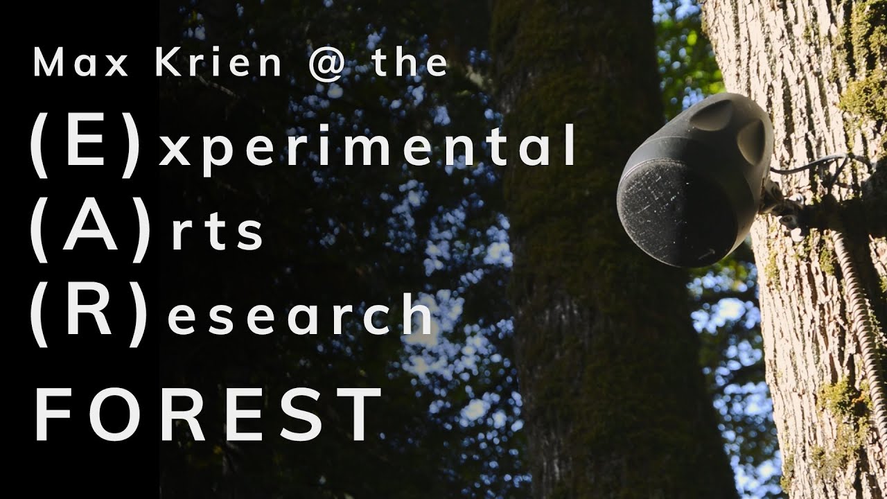 Sketches of a Digital Landscape | Max Krien @ The EAR Forest