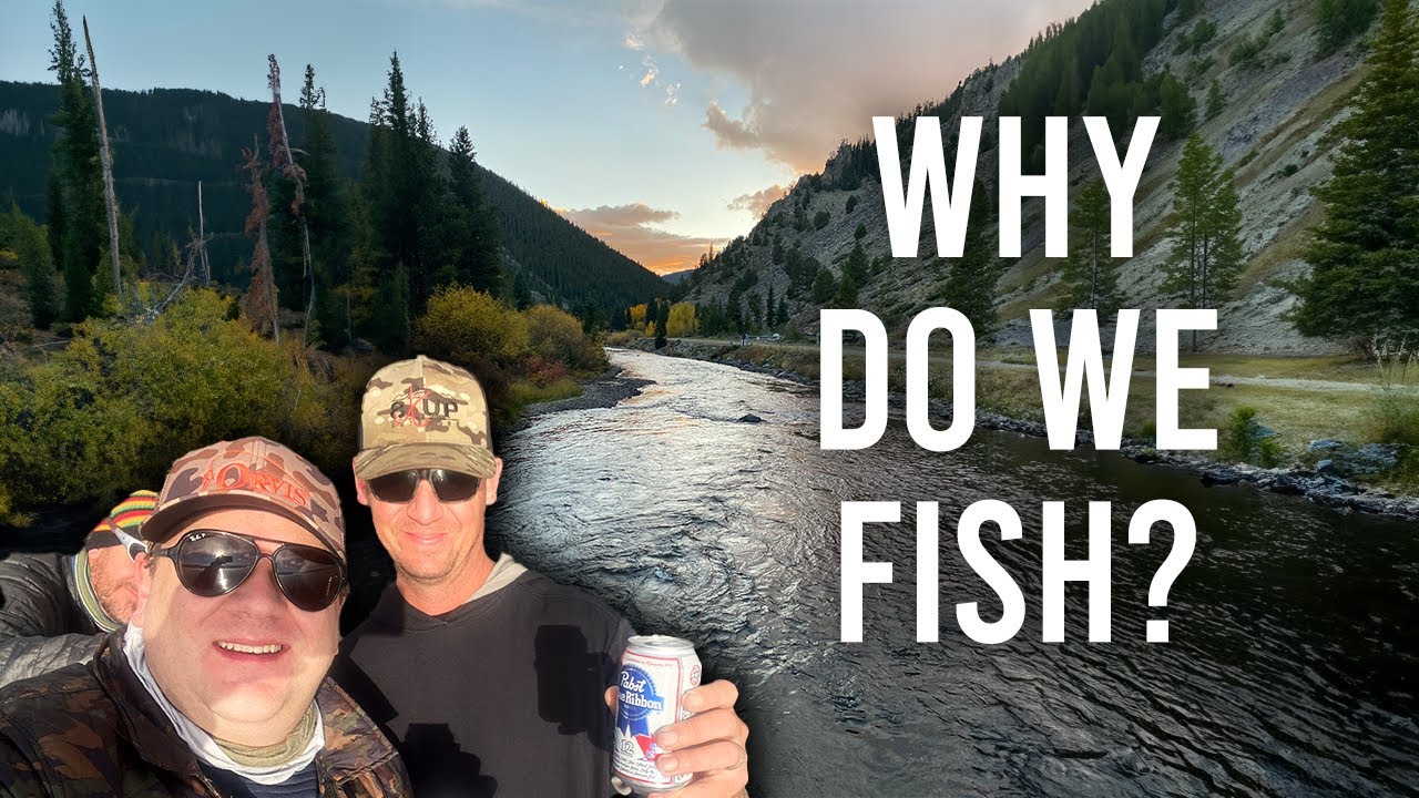 Why Fishing Is More Than Just a Hobby