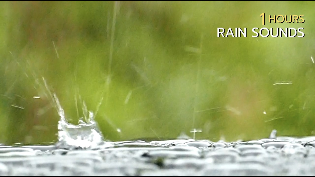 🌧️ 1 Hour of Gentle Rain Sounds  No Music, No Talking  Sleep, Relax, Study