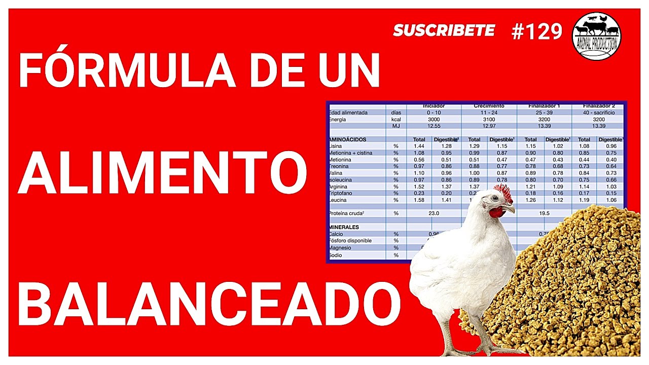 ✒️FÓRMULA de ALIMENTO BALANCEADO para POLLOS DE ENGORDE 🐥🐔/ No se deje engañar🔰