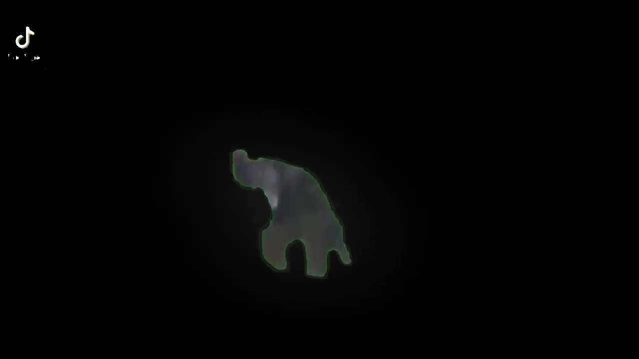 Kera sakti🐒