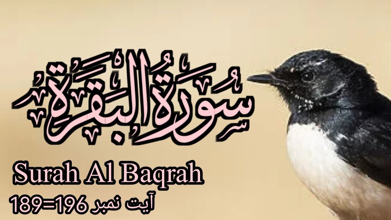 Quran Tilawat Recitation of Holy quran Surah Al Baqrah Ayet no 189=196 #Quran E Pak Ki Tilawat