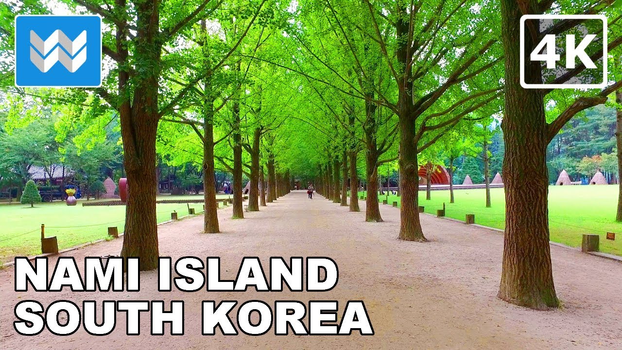 [4K] Nami Island (남이섬) in Gangwon-do, South Korea - Walking Tour & Travel Guide 🇰🇷
