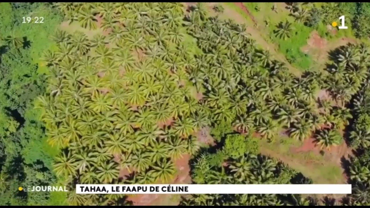 Coprah, apiculture et vanille : la trilogie gagnante de Céline