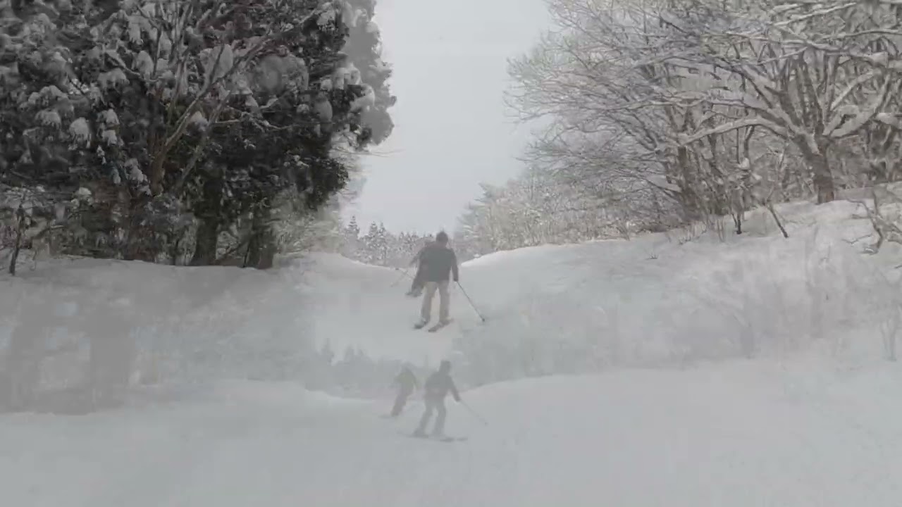 Myoko Suginohara Ski Resort　妙高杉ノ原スキー場　09  2026/01/22