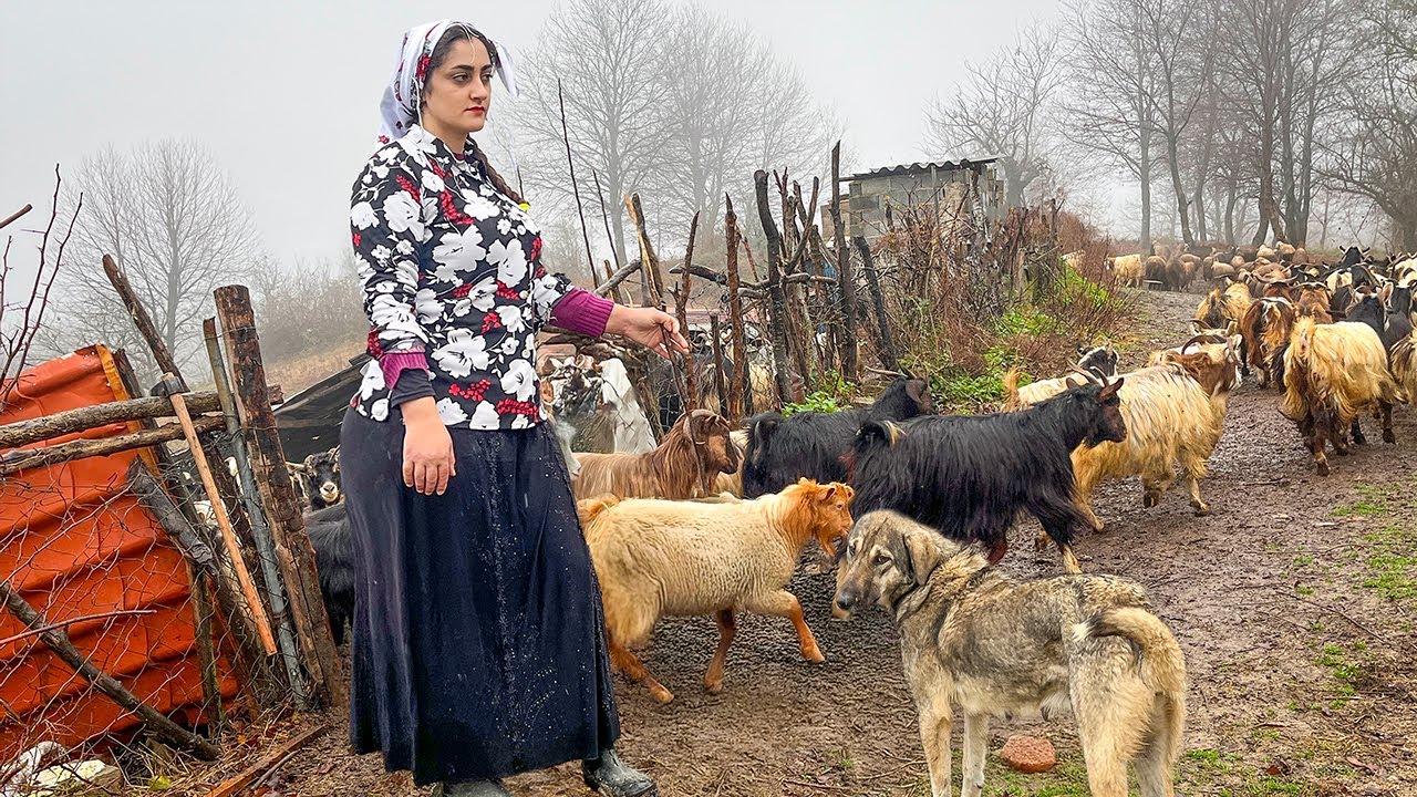 IRAN Alborz Mountains | A Nomadic Tale of Village Life and Beauty