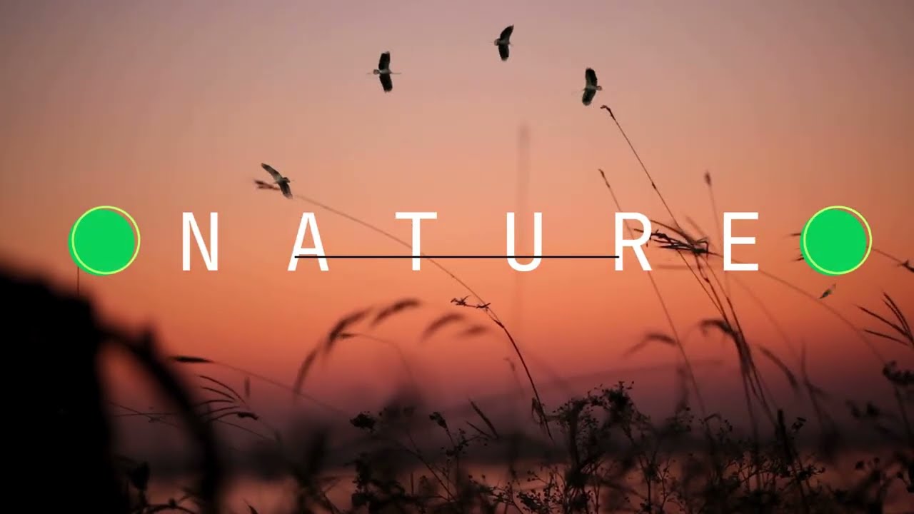 Relaxing music for Mind and Soul.