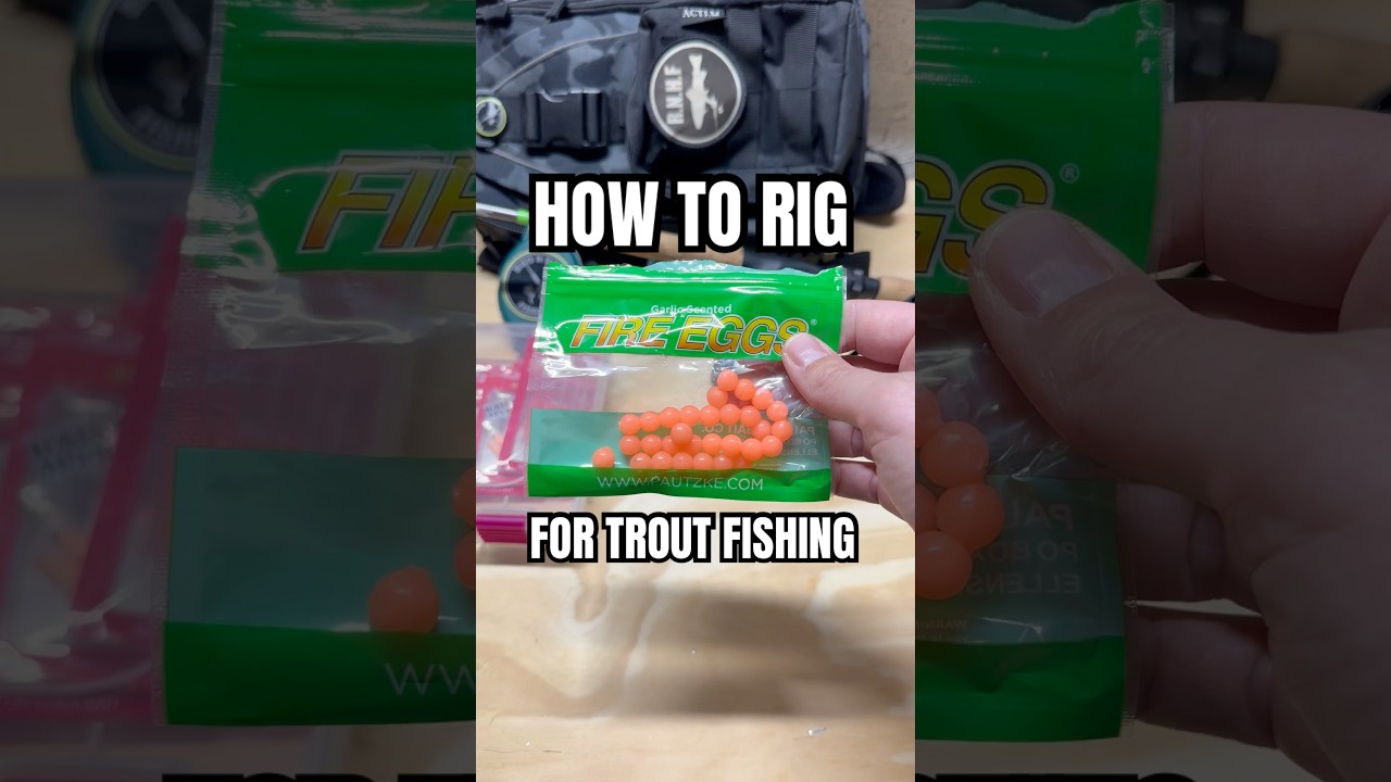 Using Fire Eggs effectively for Trout #troutfishing #trout #fishingvideo