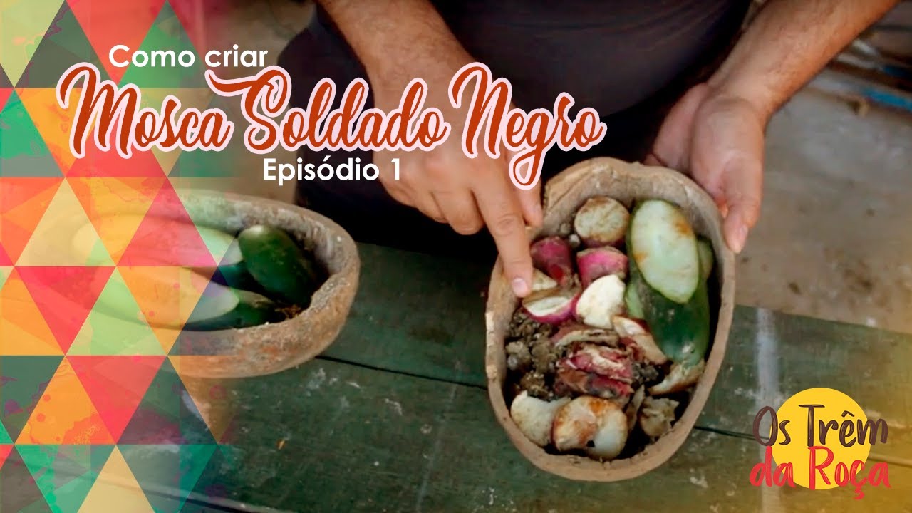 Como criar Mosca Soldado Negro Ep1