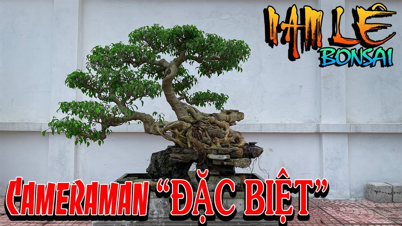 Nghệ nhân Tiến Đá ký đá cây cuối cùng mùa làm đá 2021 và cameraman ĐẶC BIỆT | NamLe Bonsai