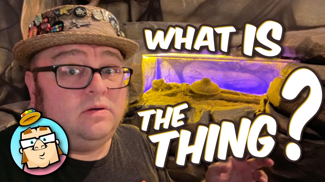 What is The Thing?  Classic Roadside Attraction - Dragoon, AZ
