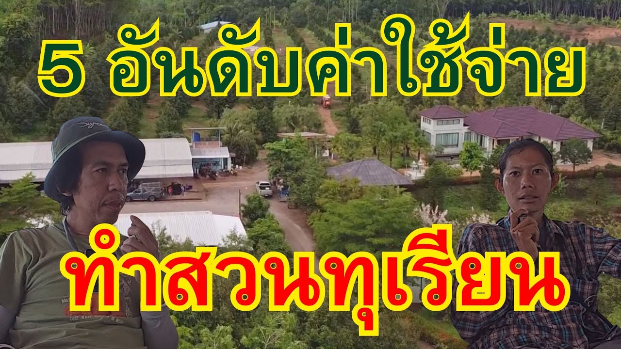 5 อันดับค่าใช้จ่าย ทำสวนทุเรียน #5อันดับค่าใช้จ่ายทำสวนทุเรียน #ค่าใช้จ่ายทำสวนทุเรียน #ทำสวนทุเรียน