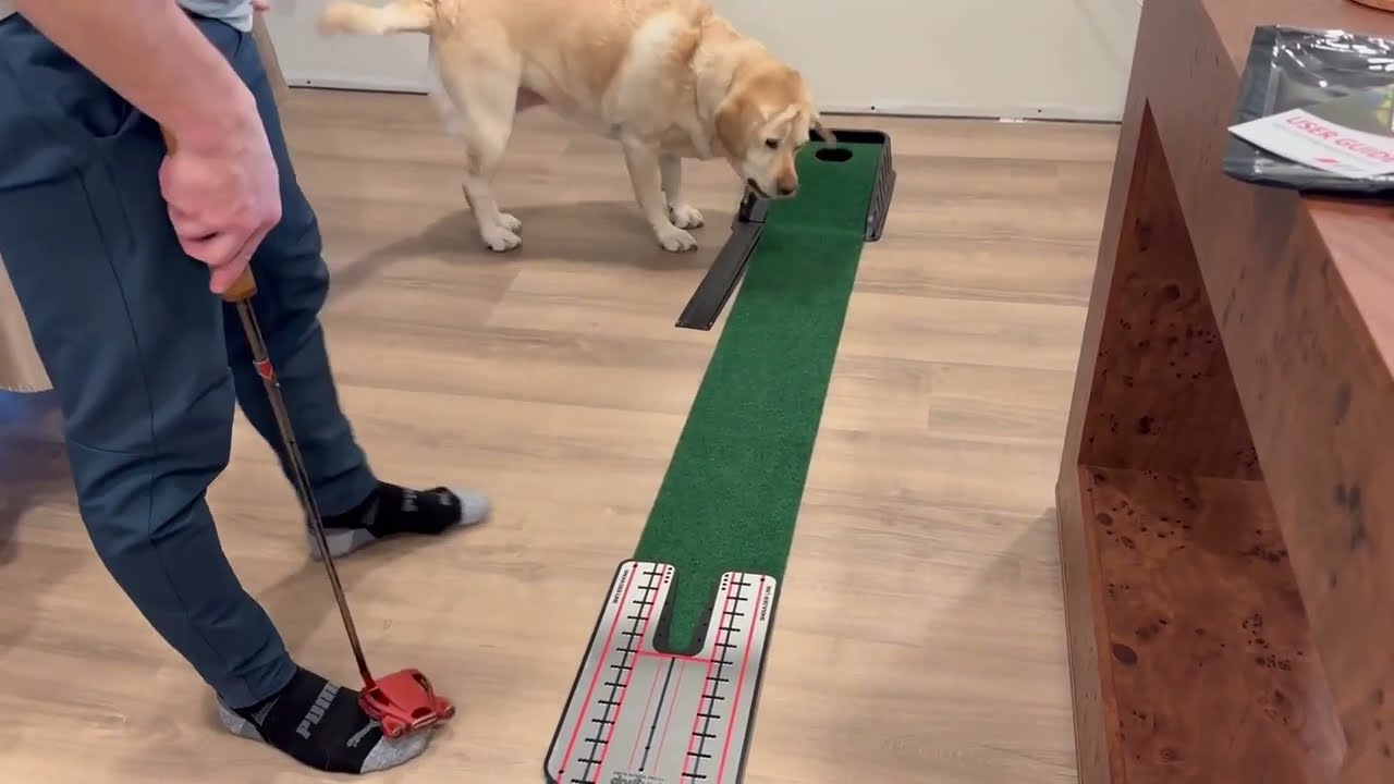 Golf putting mirror
