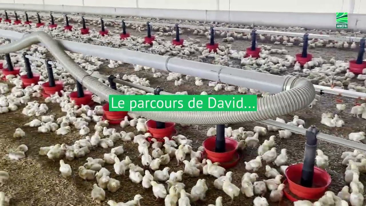 Reconversion réussie dans le secteur agricole après deux ans au RSA