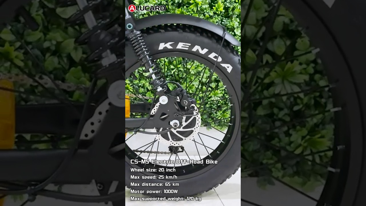 Alucard CS-M5 E-Bike Explanation 
