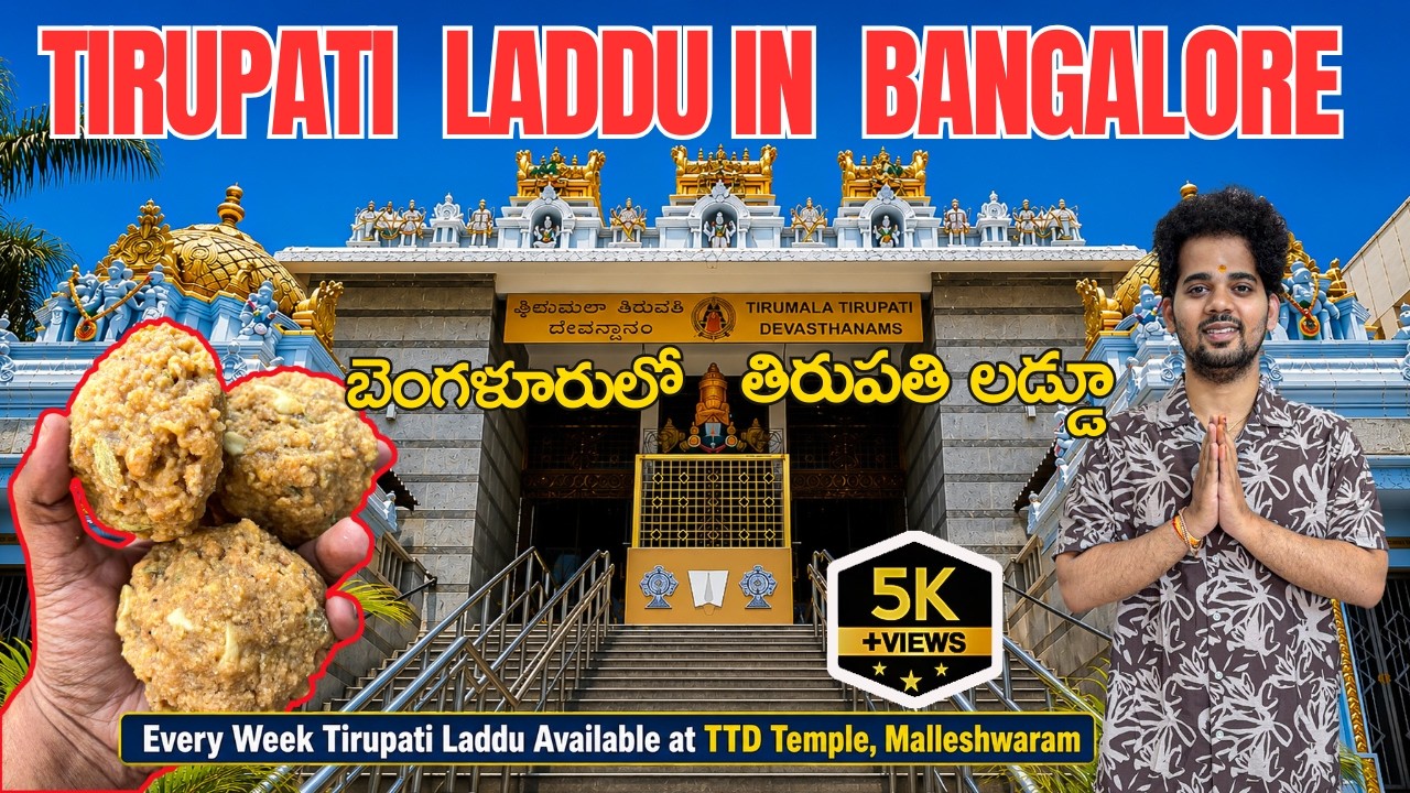 Tirupati Laddu In Bangalore | TTD Temple | Malleshwaram | బెంగళూరులో తిరుపతి లడ్డూ | PRICE 50/- |🛕🕉️