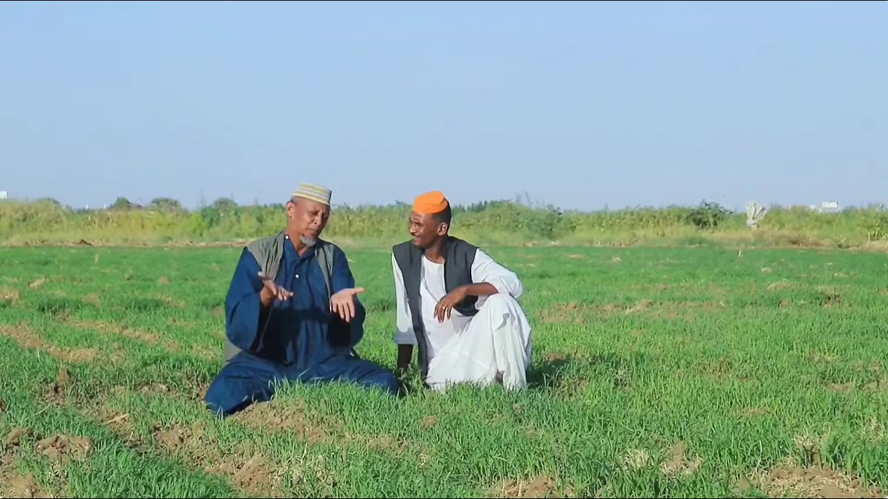 بلان هوليدي