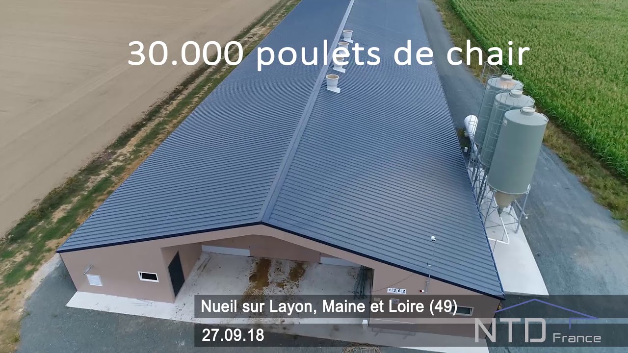 NTD France - B&acirc;timent Poulets de chair
