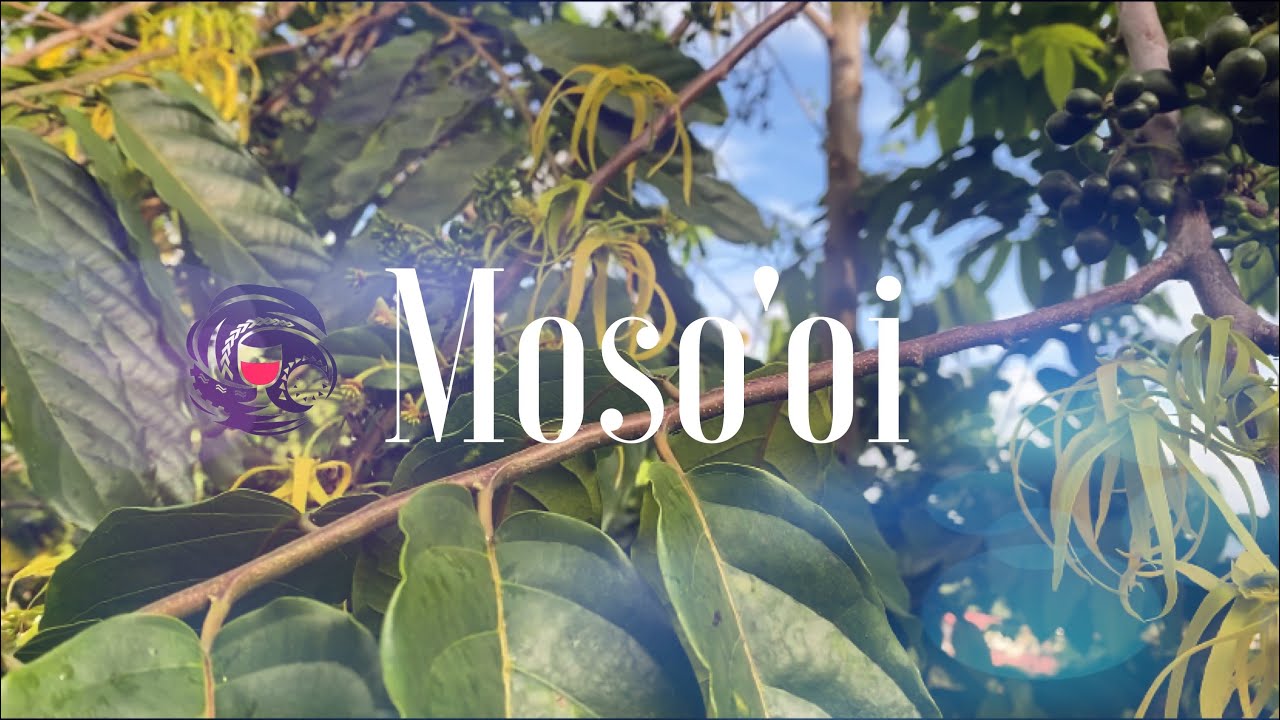 RSA Band Samoa - Moso'oi (Official Lyric Video)