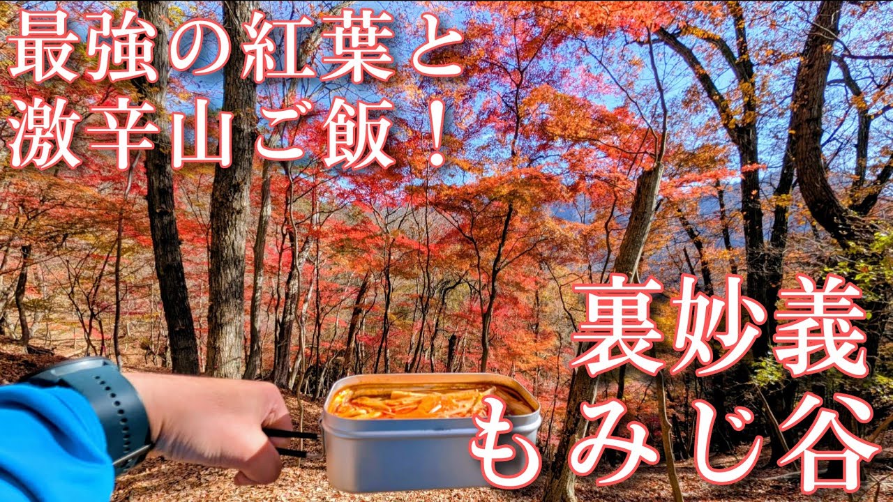 最強の紅葉と激辛山ご飯！【裏妙義☆もみじ谷】知る人ぞ知る妙義山の紅葉の名所に、紅葉狩りハイキングに行きます！（2025/11/24）