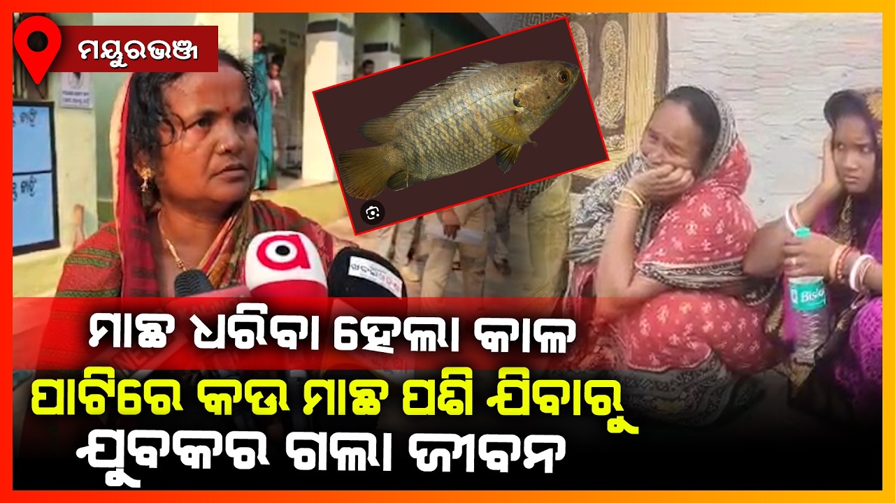 ମାଛ ଧରିବା ହେଲା କାଳ ପାଟିରେ କଉ ମାଛ ପଶି ଯିବାରୁ ଯୁବକର ଗଲା ଜୀବନ || MAYURBHANJ NEWS
