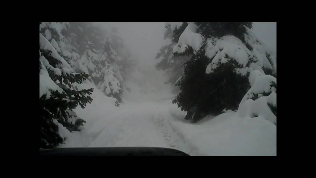 Subaru Forester when other 4wd stucks