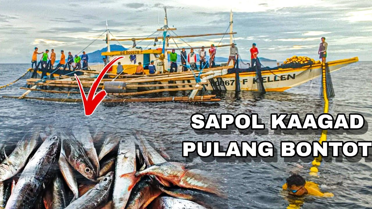 PALDO! Tonelada isda sa isang Arya!?. Philippines Net fishing 