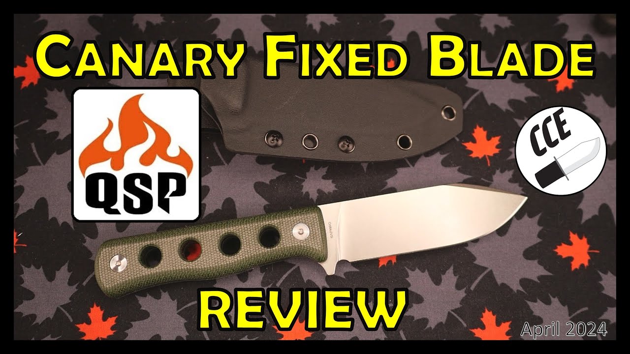 Review of the QSP Canary 4