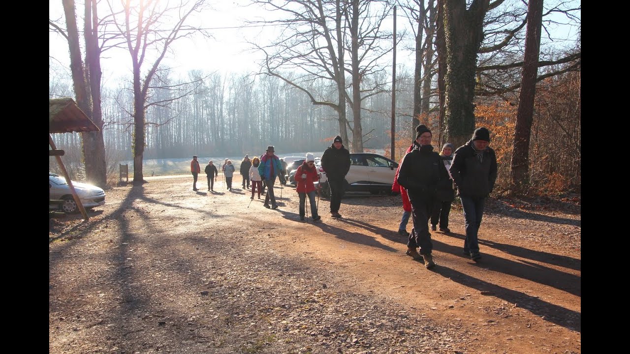 Dernière sortie 2025 en forêt de Haslach