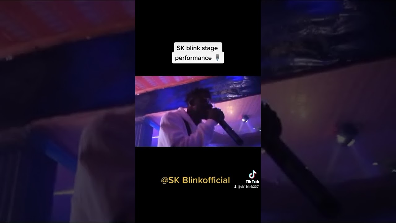 SK blink stage performance