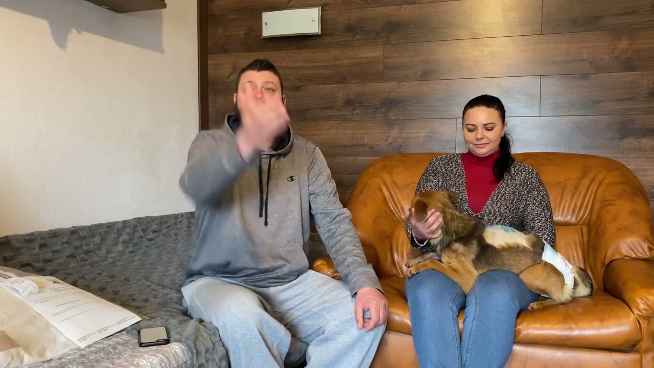 L- am operat pe Codrut un catel lovit si abandonat