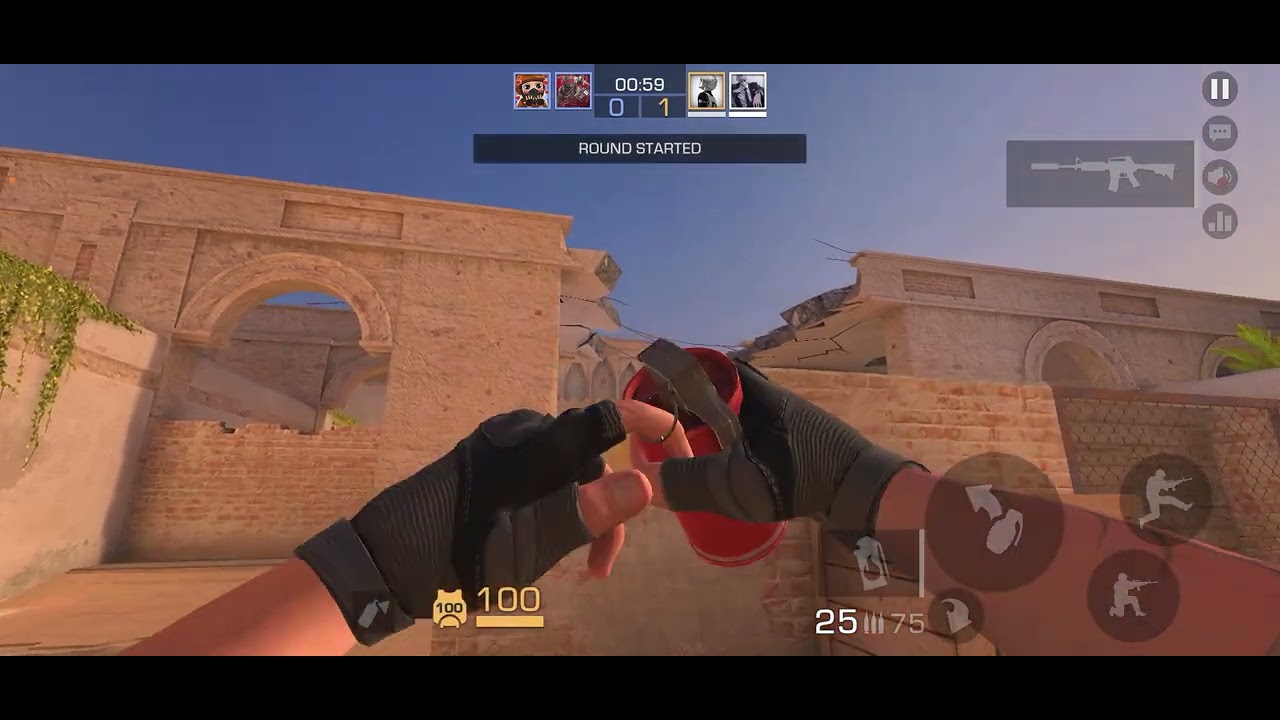 2vs2 rolodog bichleg