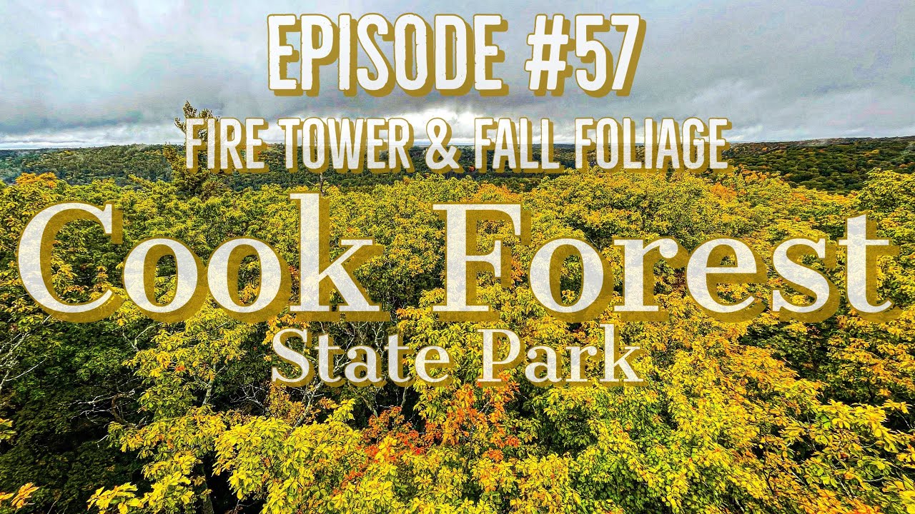 Fire tower climbing, awesome views and fall foliage! Cook Forest State Park.