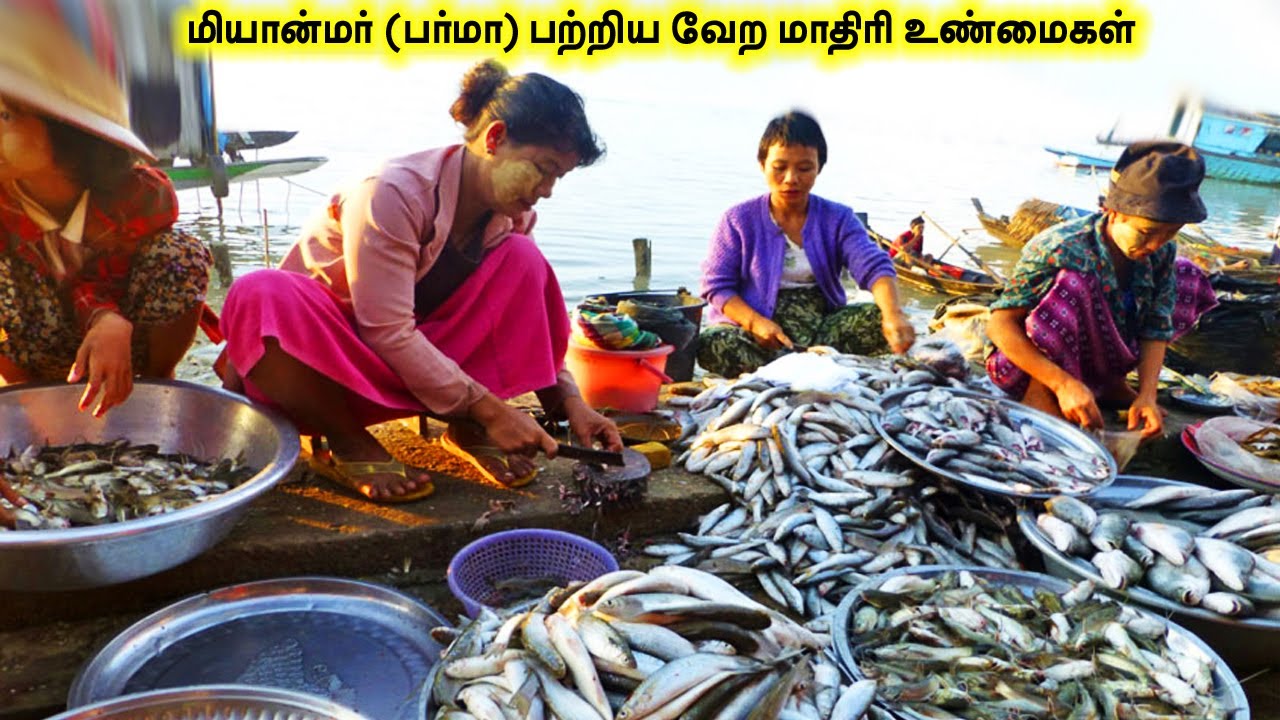 மியான்மர் (பர்மா) பற்றிய வேற மாதிரி உண்மைகள்