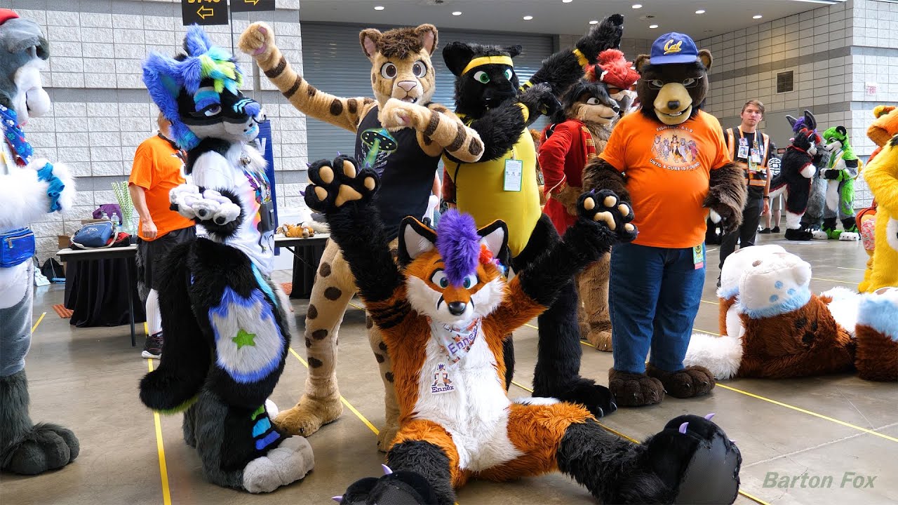 Anthrocon 2024 (AC 2024) - Fursuiting 101