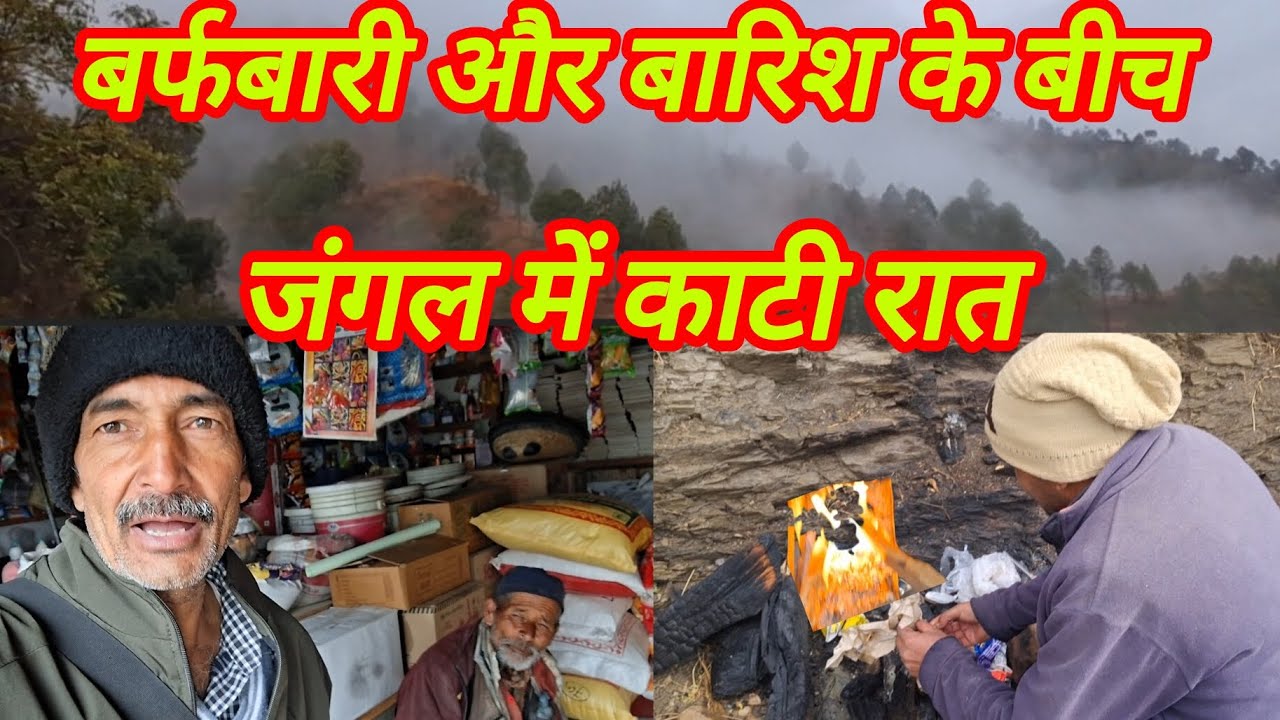  जंगल में कटी रात | ऊपर से बर्फबारी बारिश और नीचे बाघ |  #trending #viralvideo #pahadi