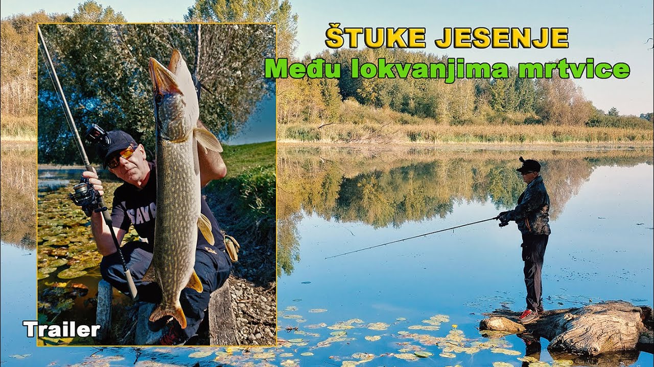 Štuke jesenje - Među lokvanjima mrtvice / Savage Gear Caviar Spinner - Trailer / VSP Igor Pavičić