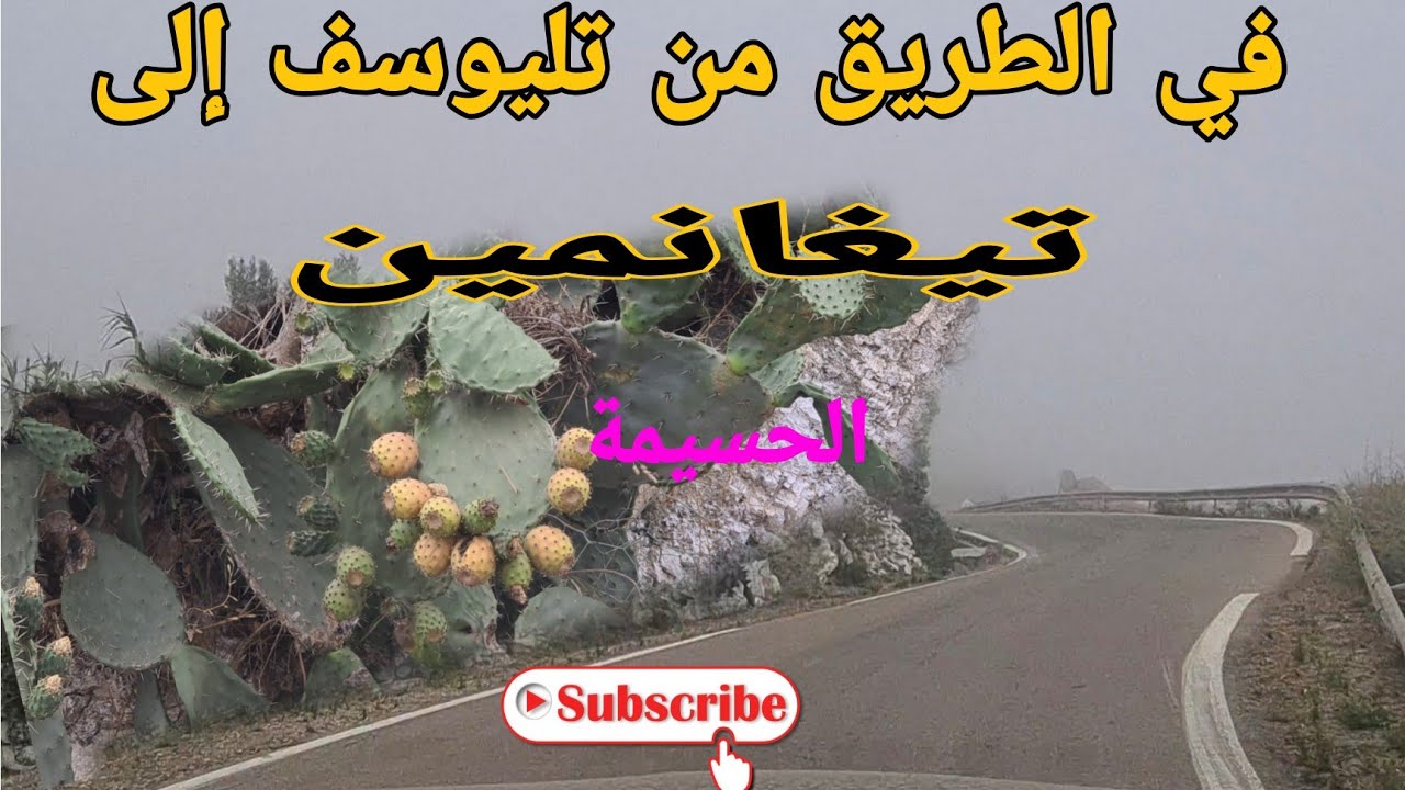 جولة رائعة من تليوسف🇲🇦إلى تيغانمين🇲🇦الحسيمة😱Alhoceima