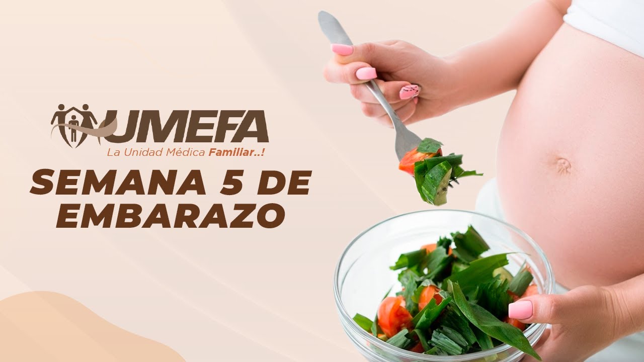 Semana 5 de Embarazo | Sintomas | Desarrollo del bebe