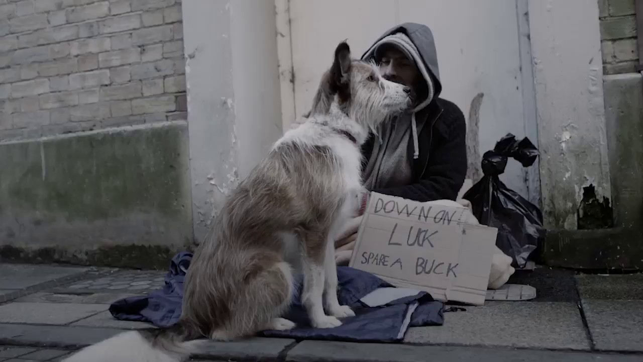 Homeless Shelter Accepts Humans and Their Pets