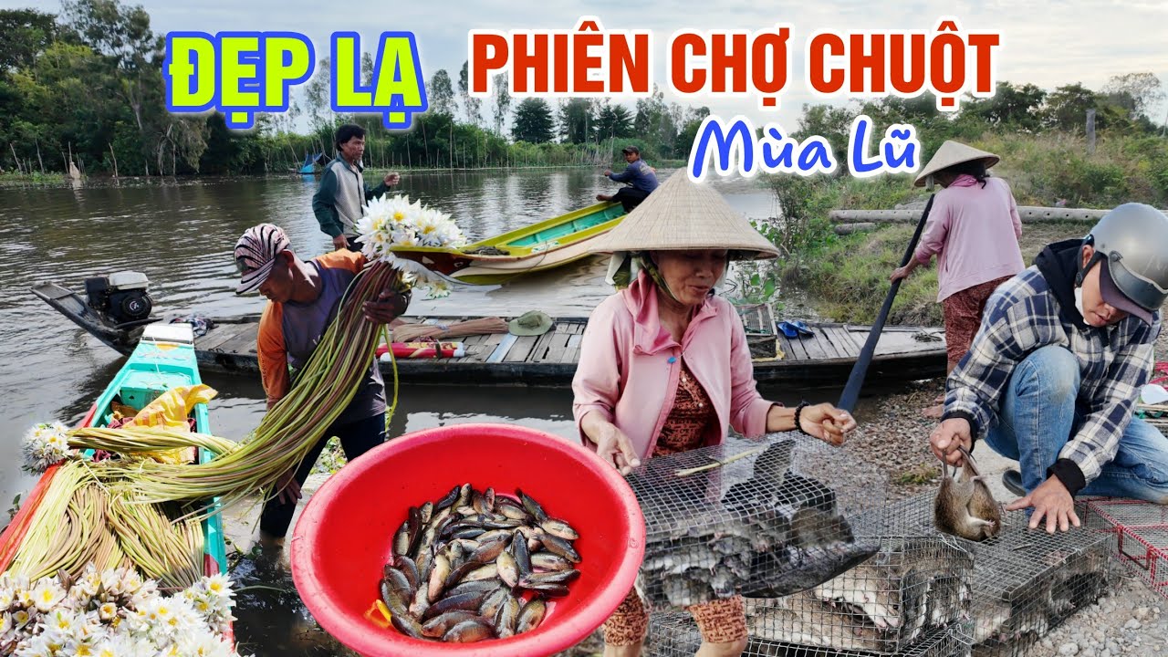 ĐẸP LẠ PHIÊN CHỢ CHUỘT MÙA LŨ - CUỘC SỐNG BIÊN GIỚI CAMPUCHIA BÊN DÒNG KÊNH HƠN 200 TUỔI 