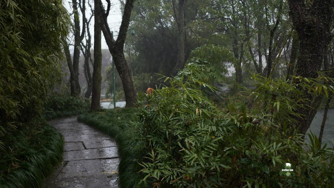 Outdoor healing scenery under heavy rain, rain sound, white noise helps sleep, insomnia.Relax\study
