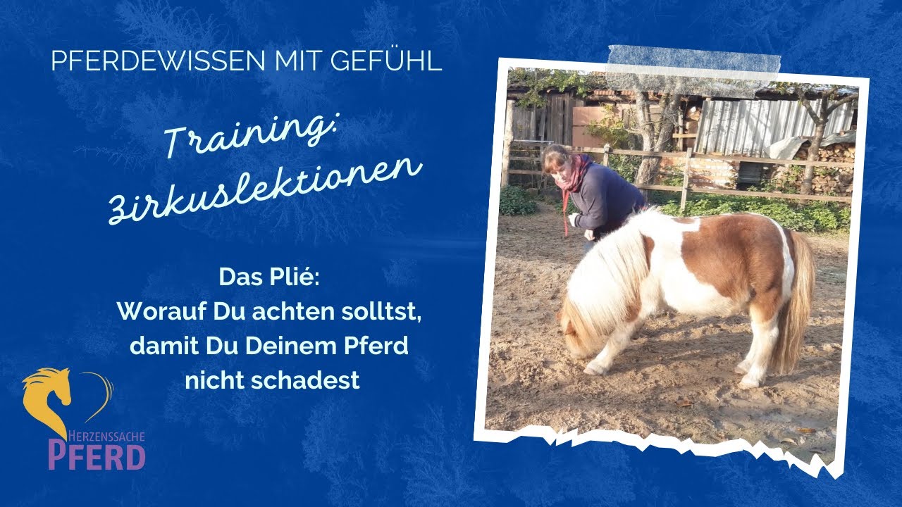 Zirkuslektionen mit Heidrun Hafen:  Zu beachten für Brust und Rücken in Plié und Kompliment
