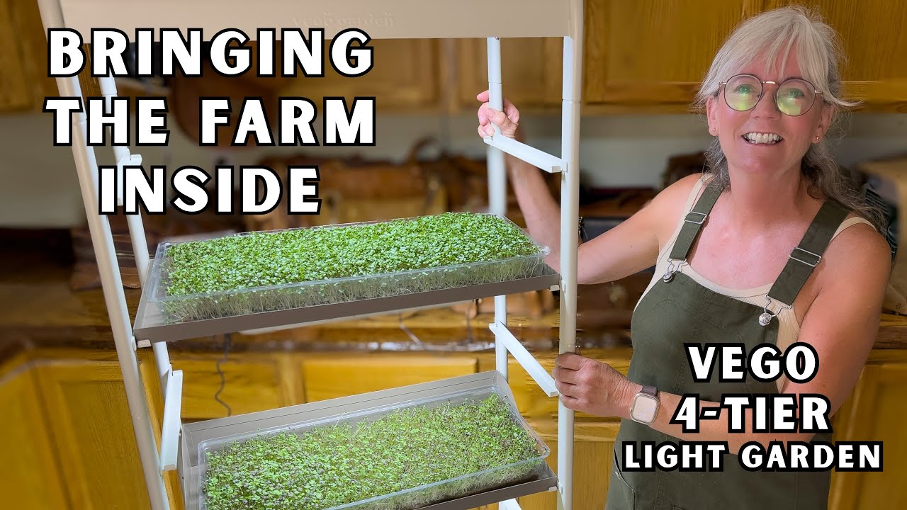Bringing the Farm Inside 🌱 Katy’s Vego 4-Tier Light Garden | Grow Microgreens Indoors All Year