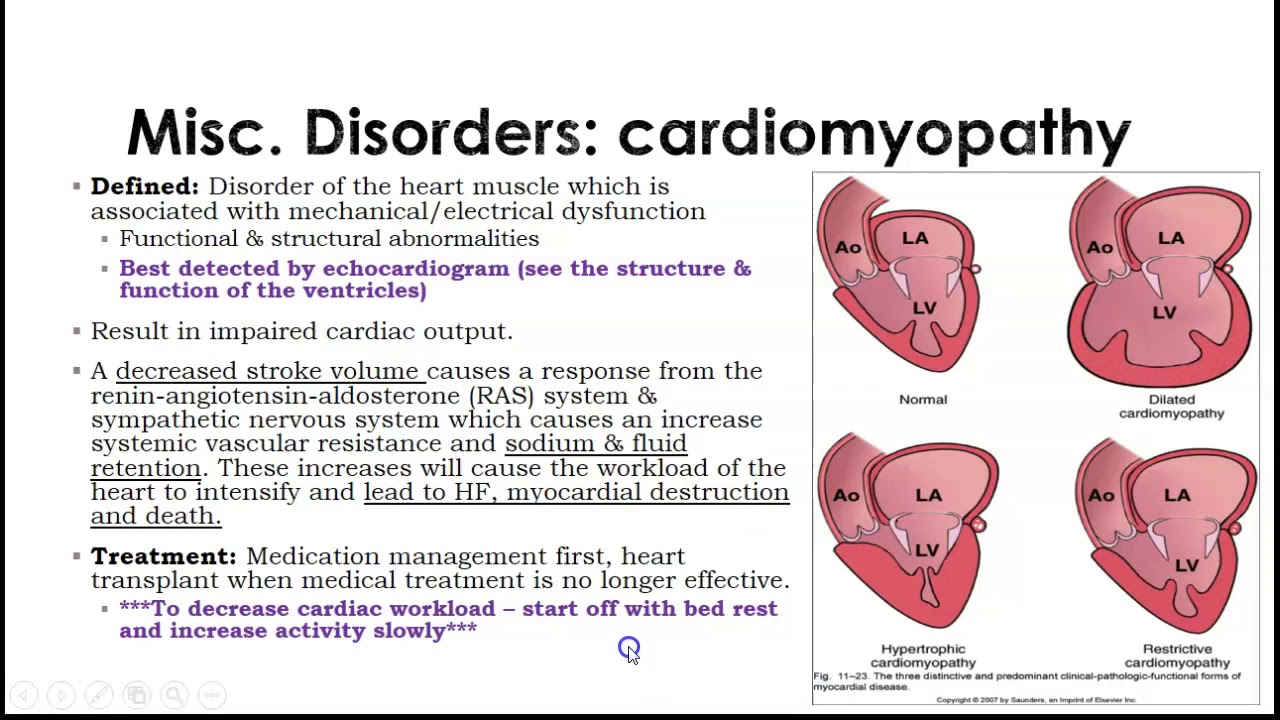 Valve and Inflammatory Heart Disease Overview Fall 2019