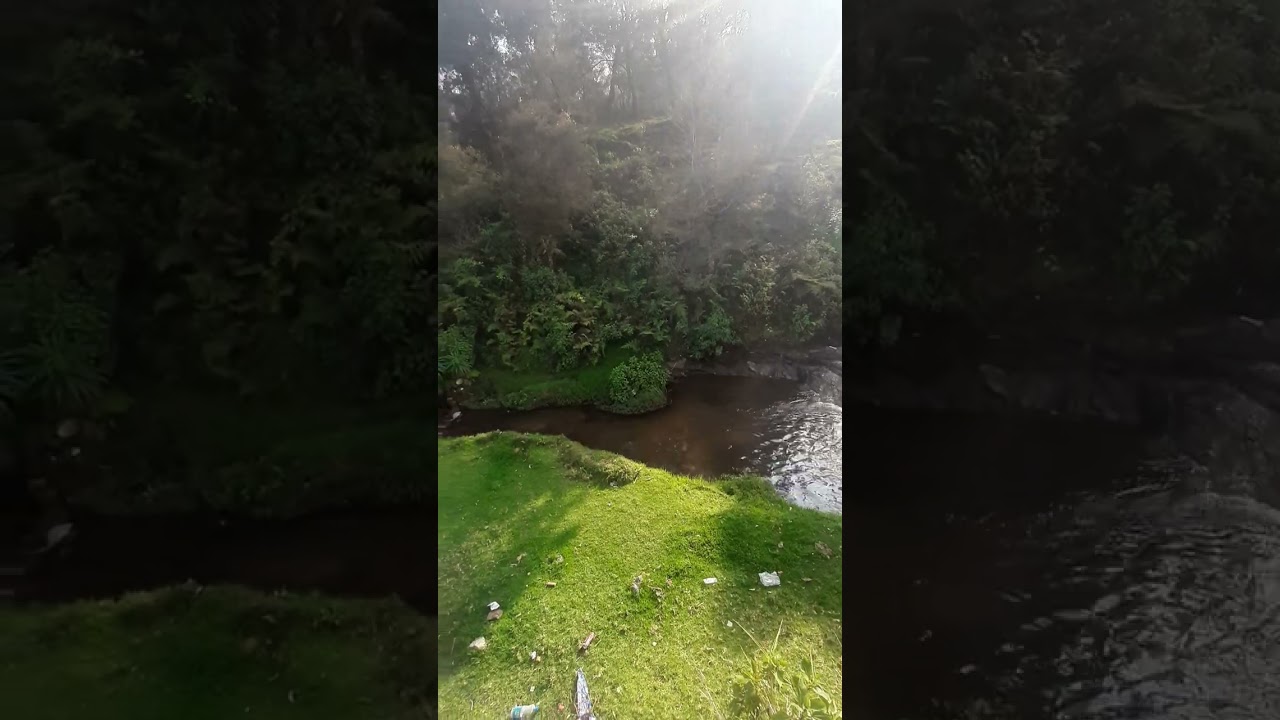 அழகான அருவி😻#shorts #trending #viral #nature #kodaikanal #subscribe #status #share | nature elevated