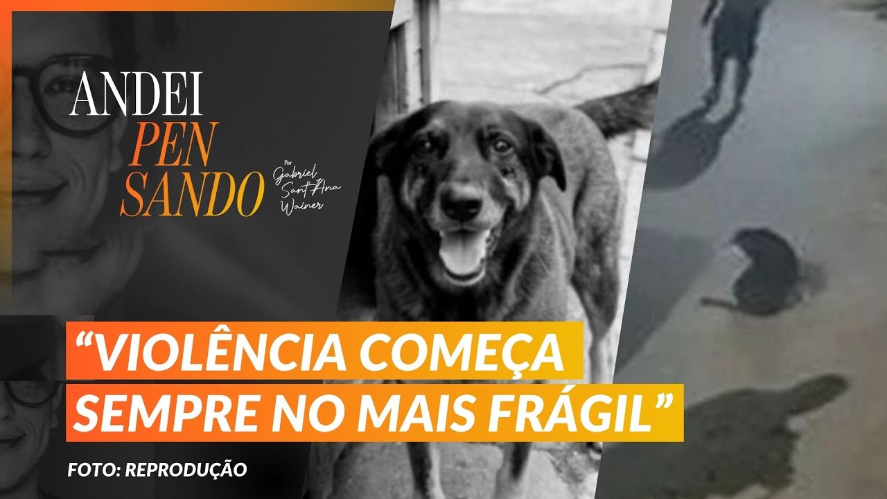 Casos do cão Orelha e do cão Negão; Ronaldo Caiado se filia ao PSD | Andei Pensando | 28/01/26